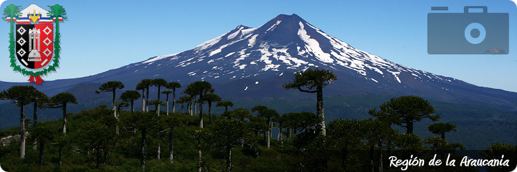 Pesca en Chile, Fly Fishing