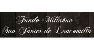 Fundo Millahue