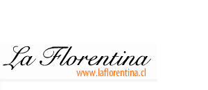 Hotel La Florentina