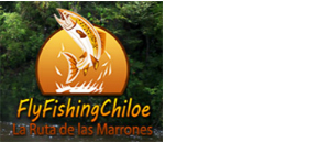 Fly Fishing Chiloe