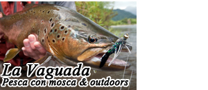 La Vaguada