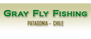 Gray Fly Fishing